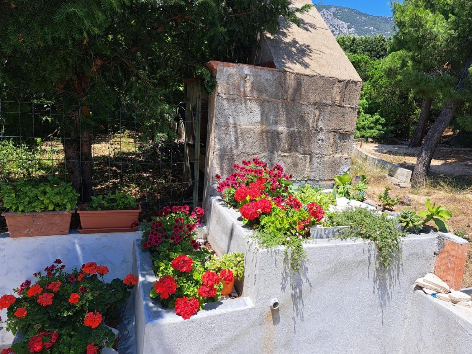 Domus De Mare Appartement Cala Gonone Buitenkant foto